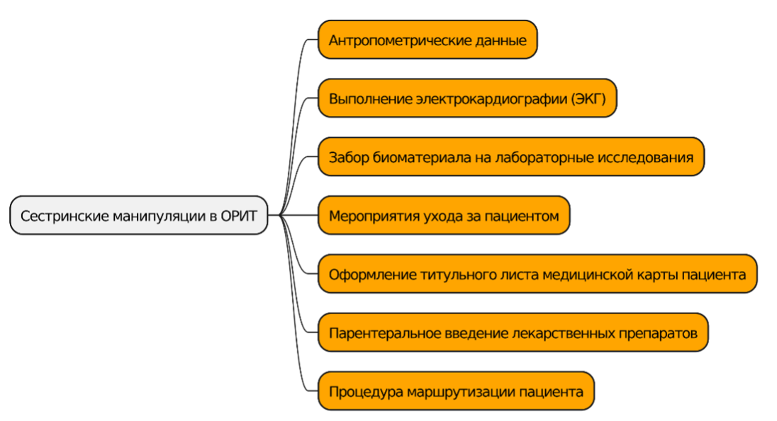 Общая структура карты знаний Сестринские манипуляции в ОРИТ